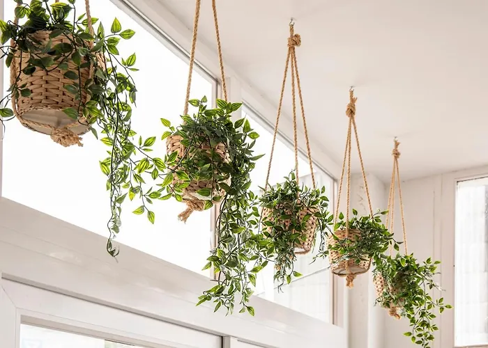 Je T'aime Porto Sweet 4* Vila Nova de Gaia